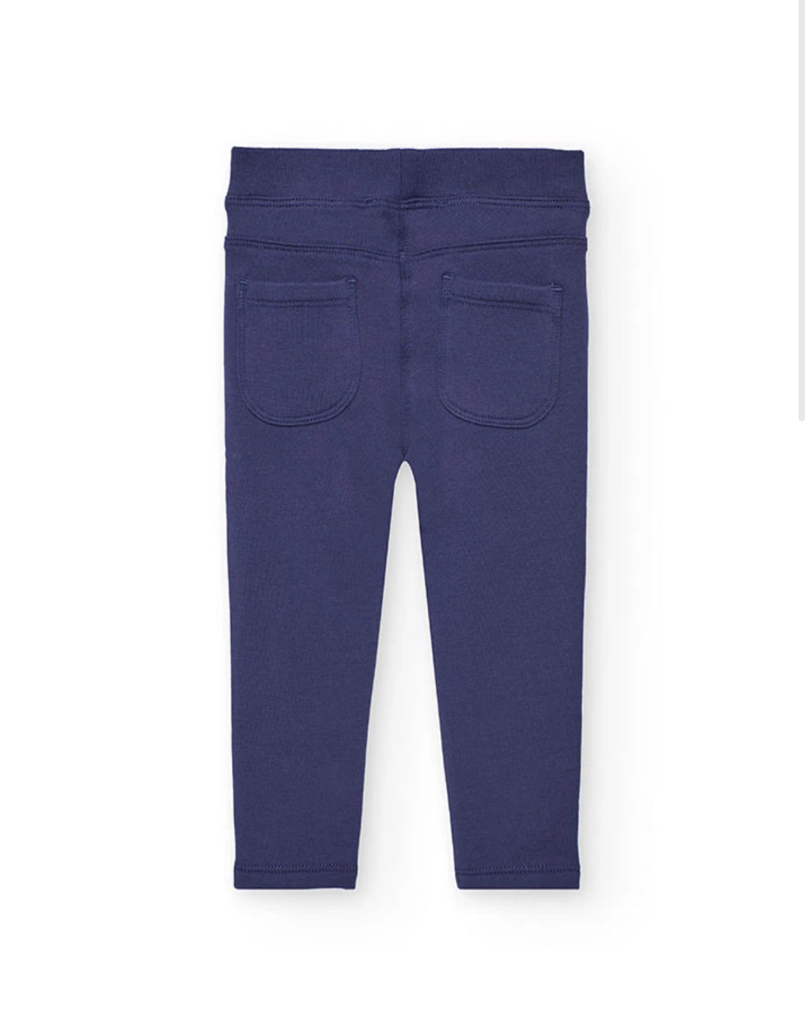 Purplish Navy Jeggings