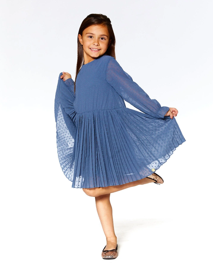 Blue Chiffon Swiss Dot Heart Dress