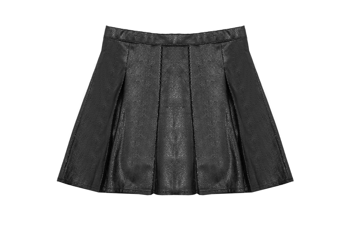 Black Pleated Skirt