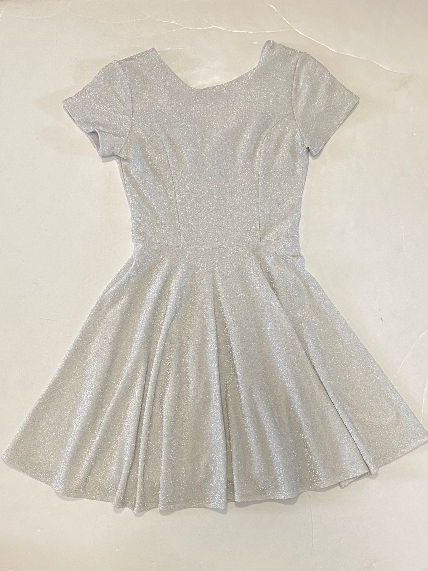 Sliver Glitter Skater Dress