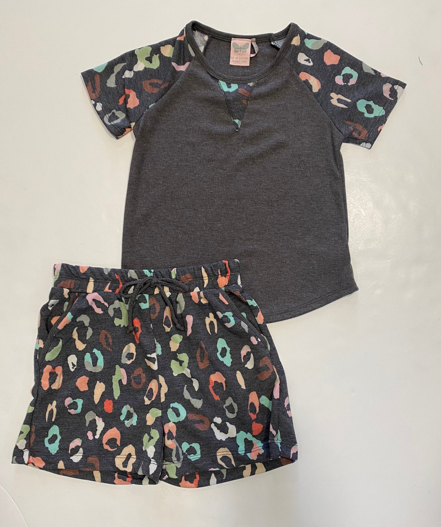 Leopard Print Shorts