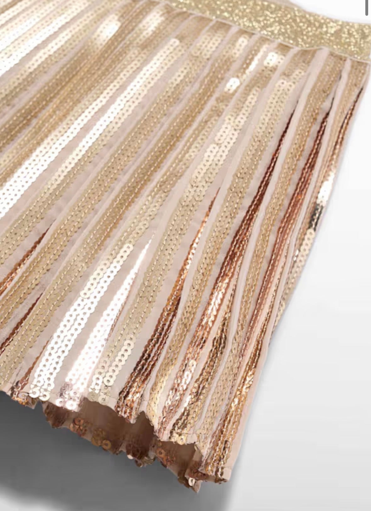 Sequin Pleated Skirt
