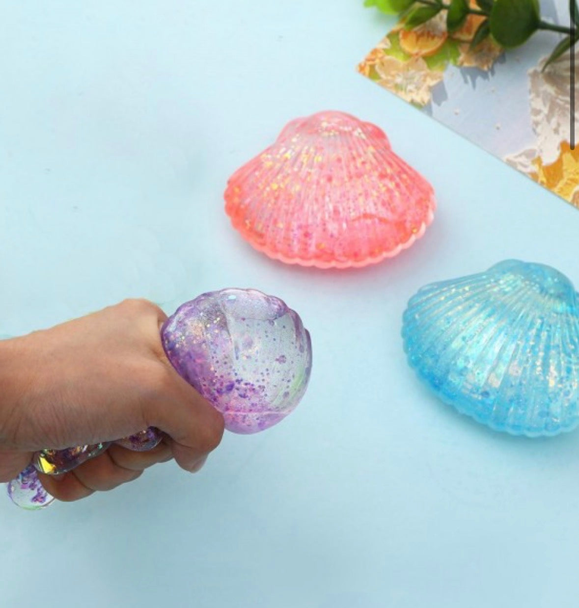 Scallop Seashell Squishy