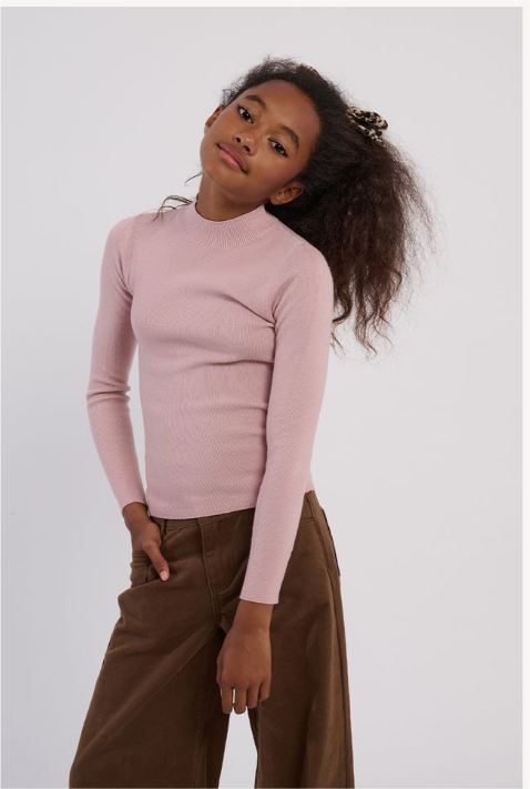 Pink Mauve Top Sweater