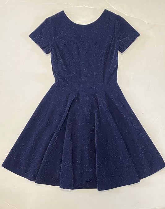 Navy Silver Speckled Dress