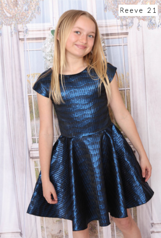 Royal Blue Jacquard Dress