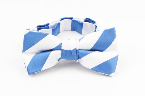 Harvard Blue and White Stripe Bow Tie