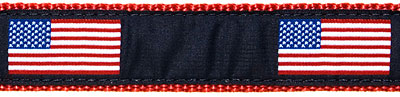 Cotton Web Belt w/ Leather