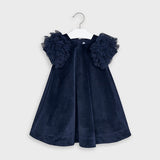 Navy Vevet Dress