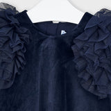 Navy Vevet Dress